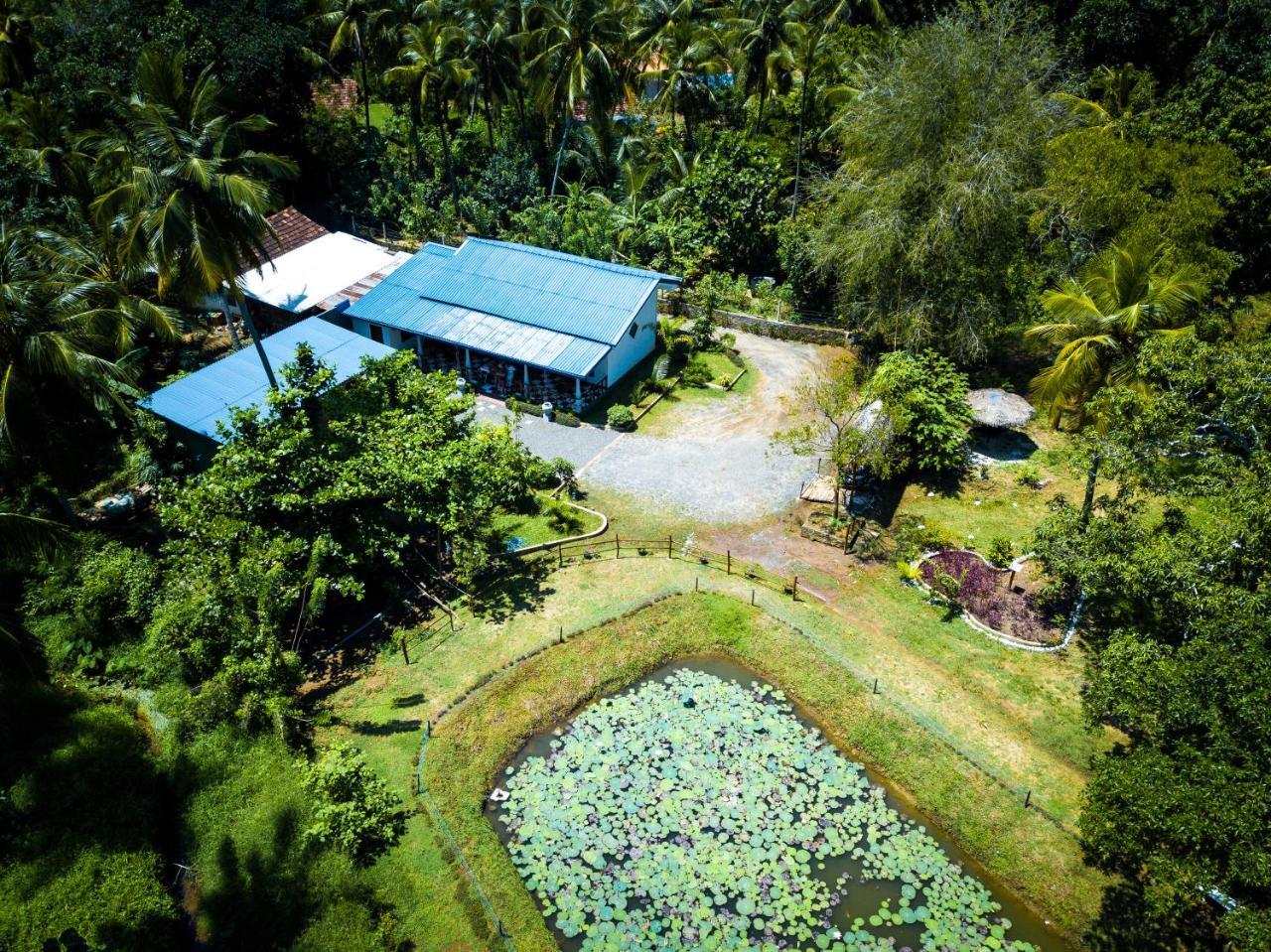 Avian Garden Udawalawe Hotel Exterior photo